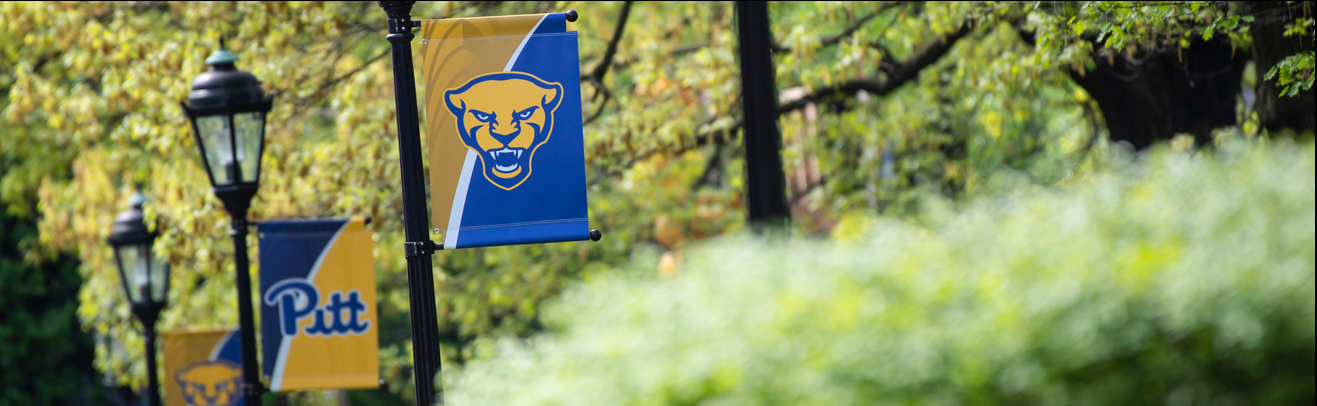 images of pitt's campus